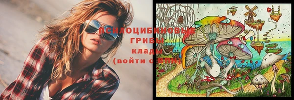 прущие крисы Арсеньев