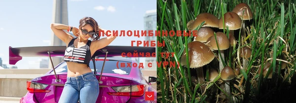 прущие крисы Арсеньев
