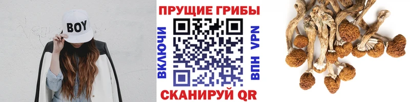 Галлюциногенные грибы MAGIC MUSHROOMS  Асино 